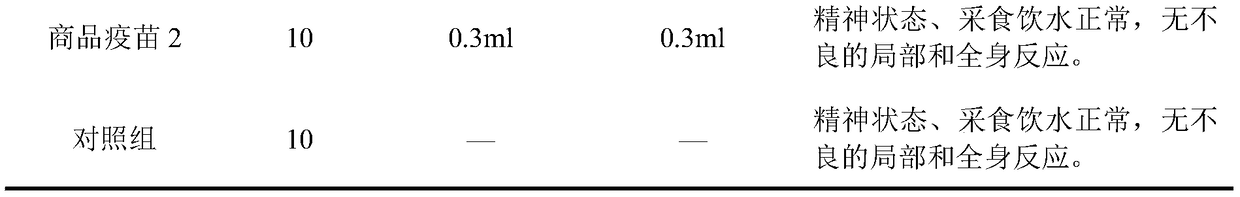 Virus isolate for infectious bronchitis and application in vaccine preparation