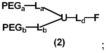 Preparation method of monofunctionalized nonlinear polyethylene glycol