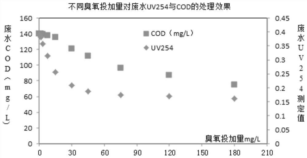 Ozonation-biochemical coupled water treatment method