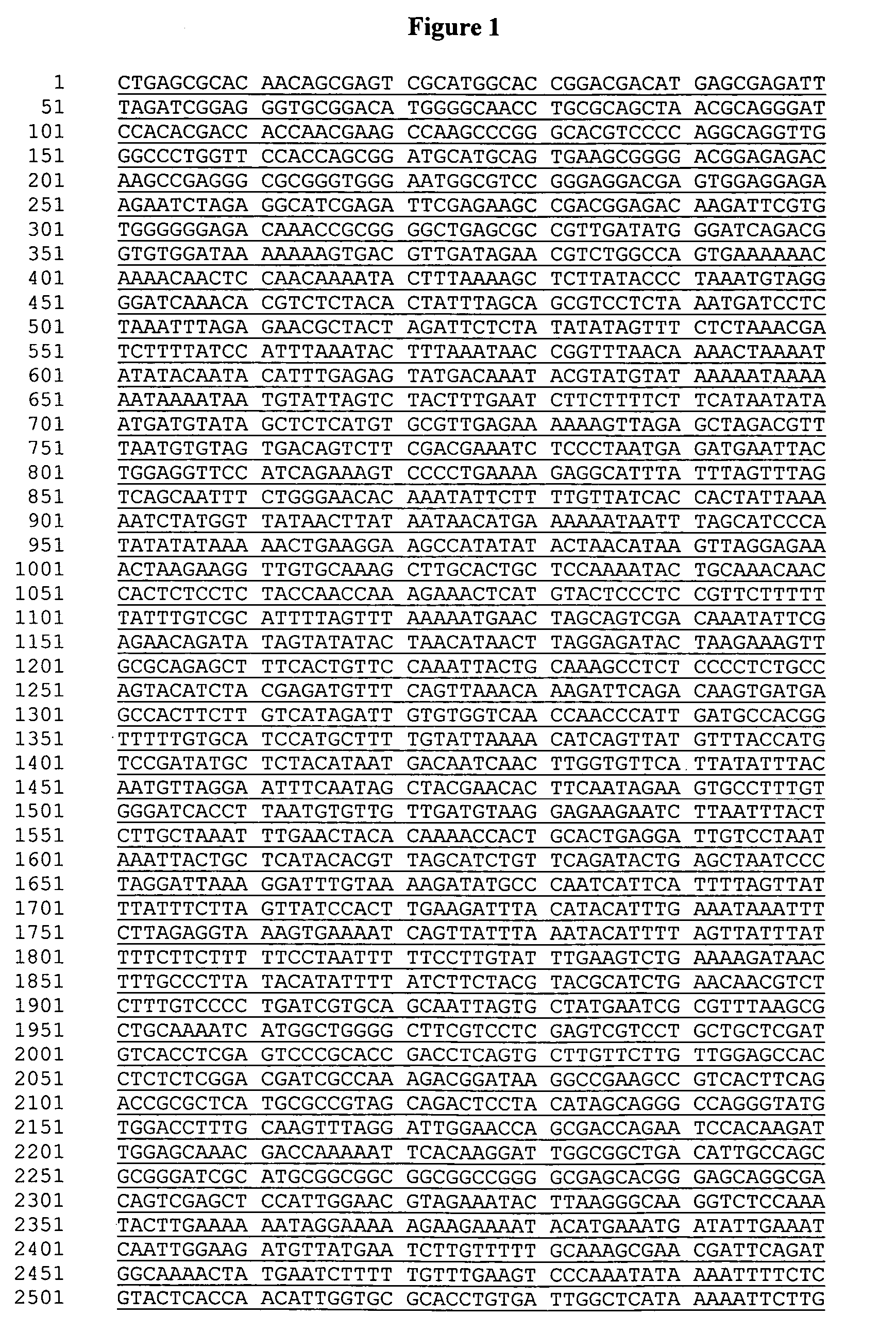 Corn event DAS-59122-7 and methods for detection thereof