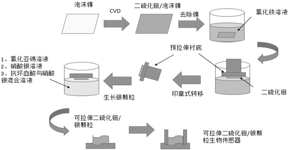 Preparation method of high-sensitivity stretchable biosensor for in-situ detection