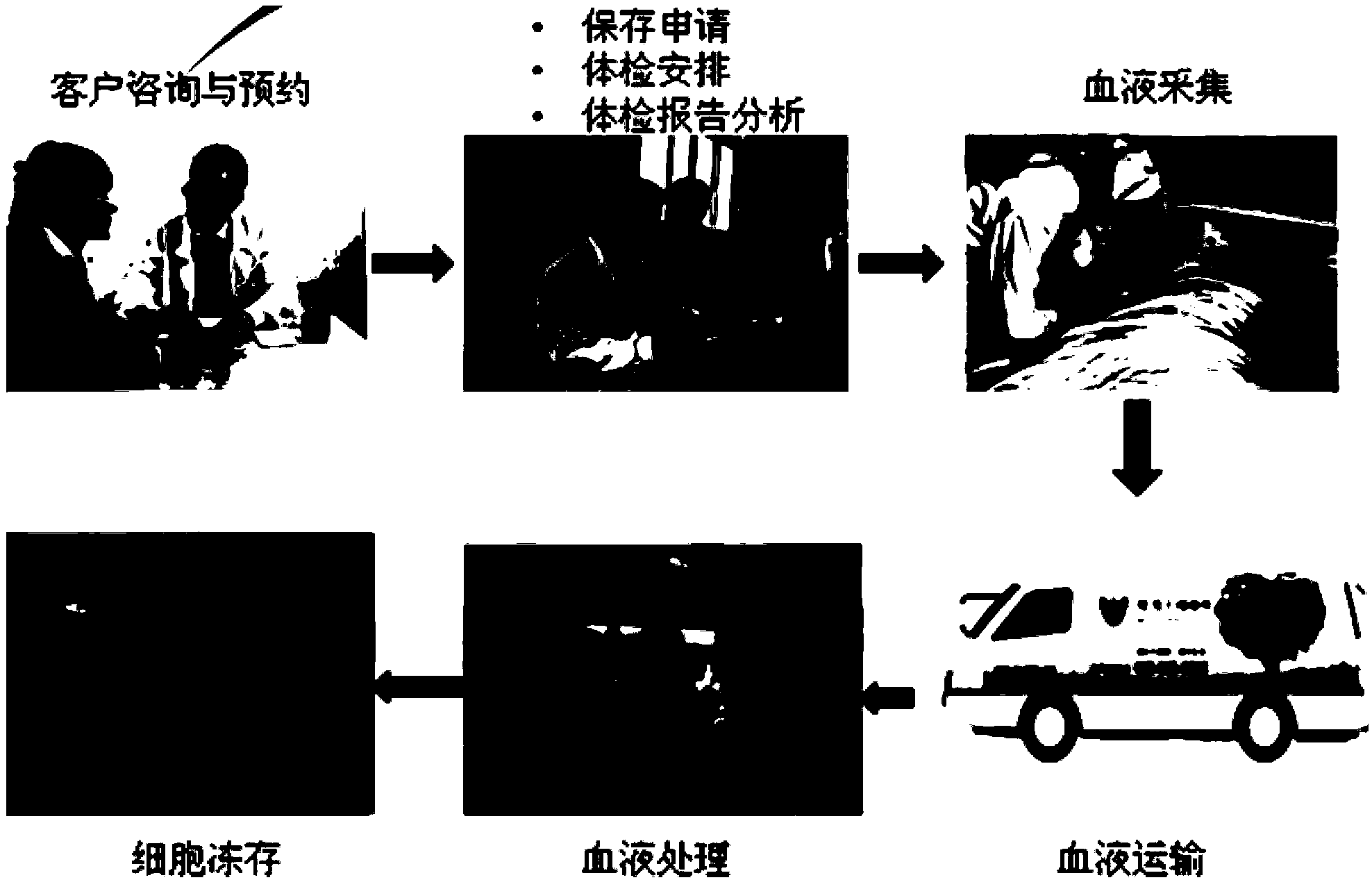 Method for separating immune cells from blood and application of method to disease treatment