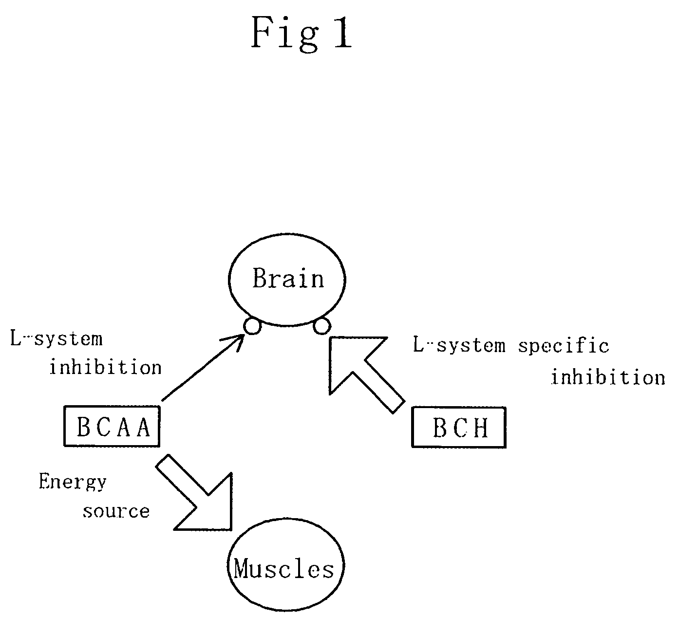 Agents for recoverying from or preventing fatigue in the central nerve system and foods for recovering from or preventing fatigue