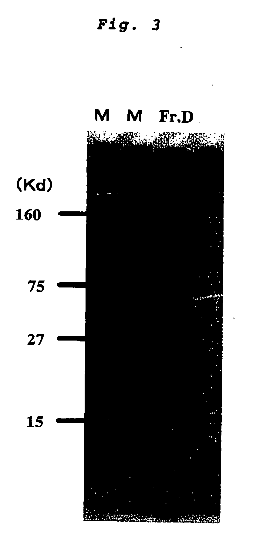 Atopic dermatitis inducer