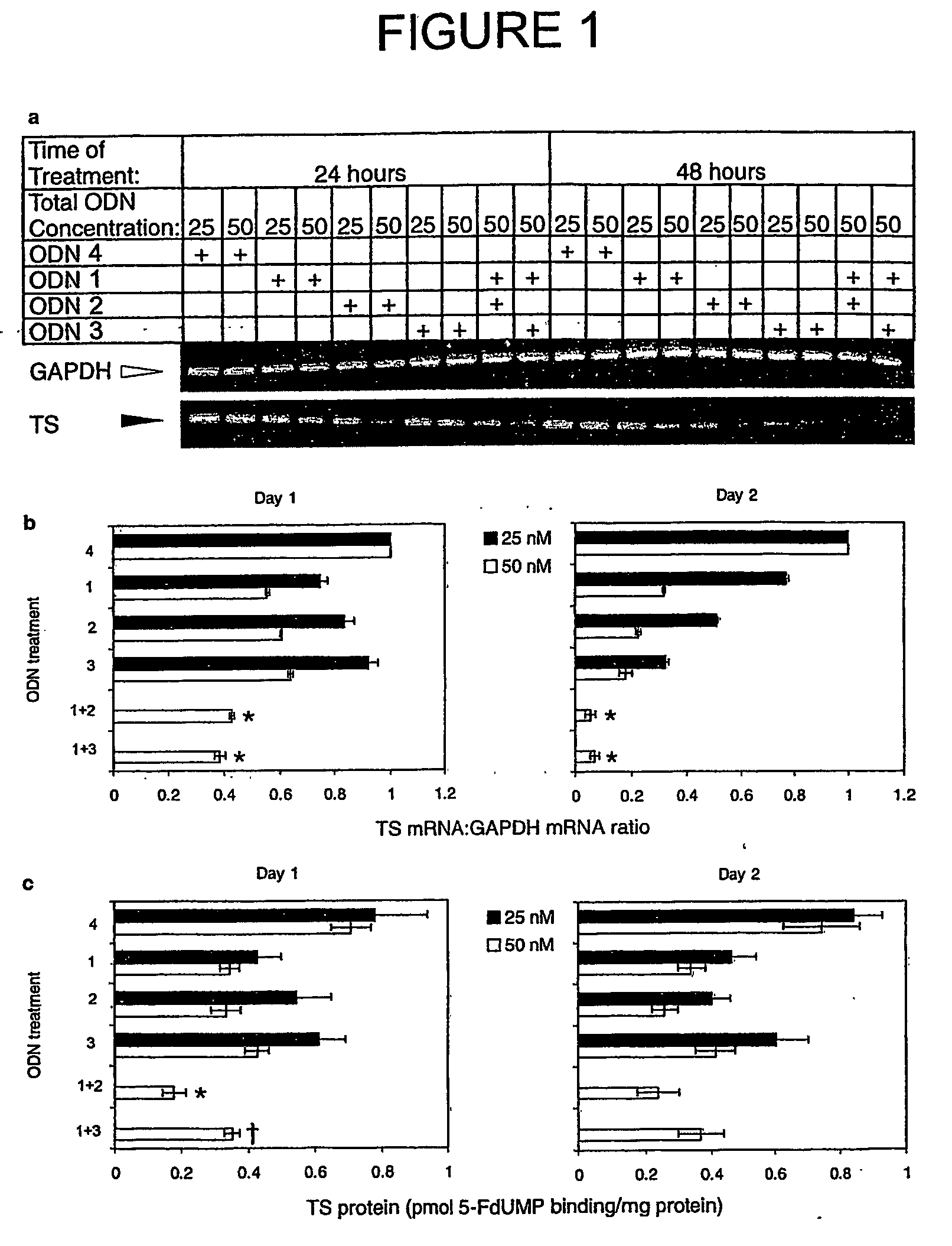 Combinations of antisense oligonucleotides directed against thymidylate synthase mrna and uses thereof