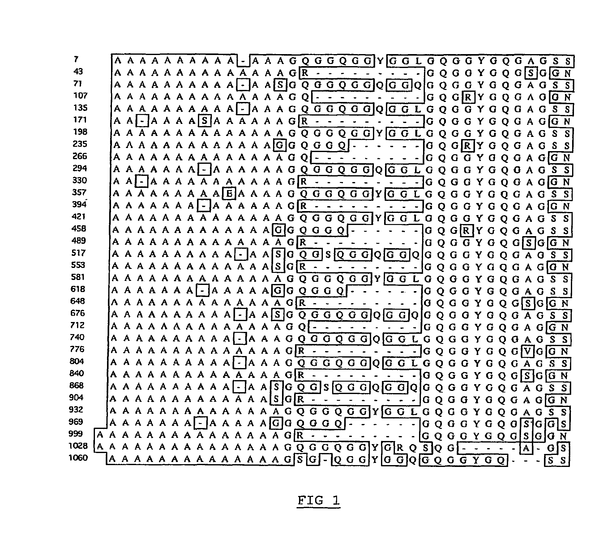 Spider silk proteins and methods for producing spider silk proteins