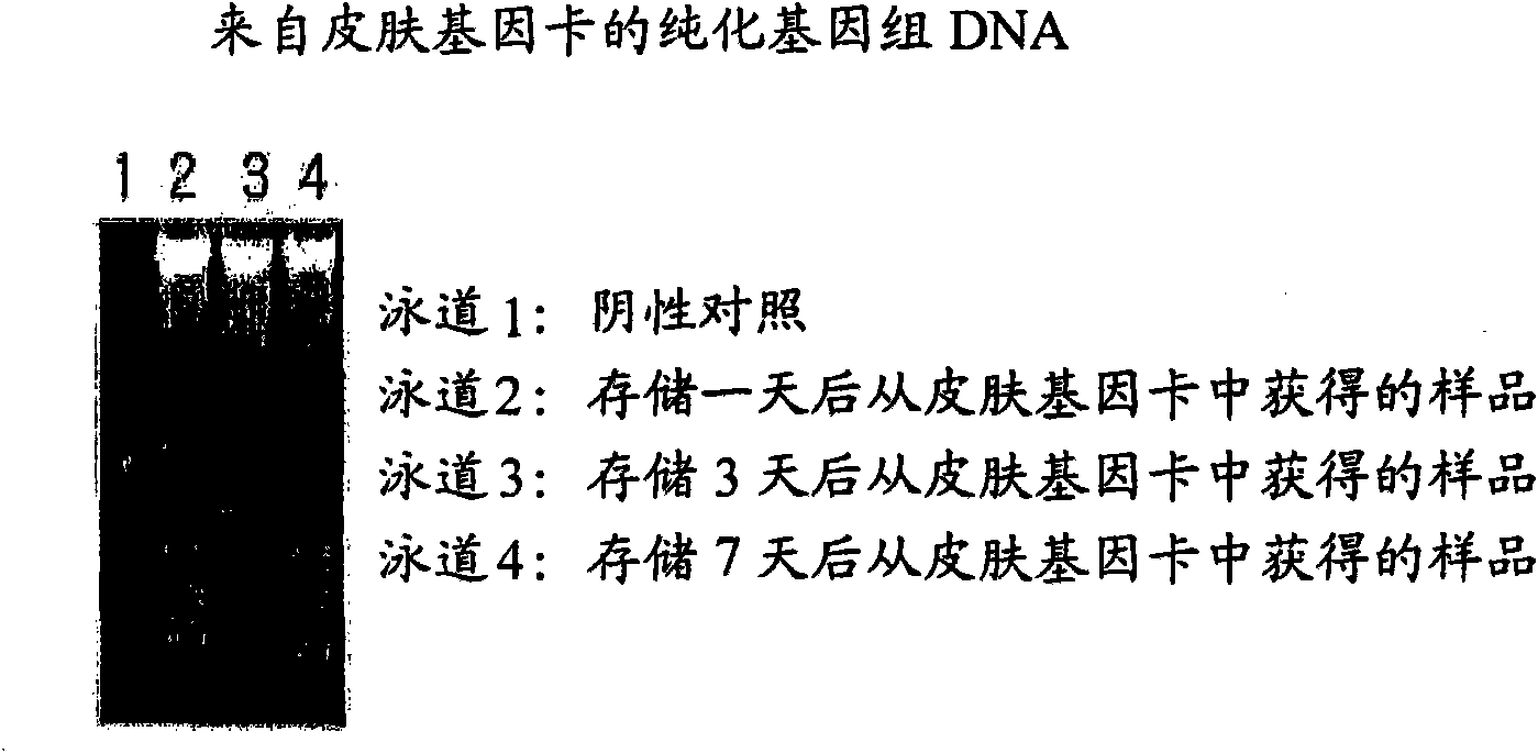 New skin sampling kit which stores nucleic acids in stable status, genetic test methods by using the kit and their practical application