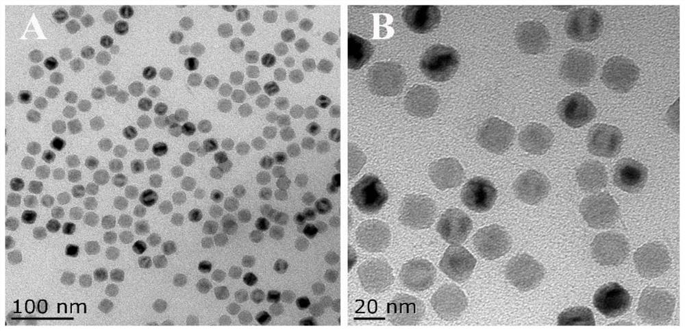 Preparation method and application of molecularly imprinted polymer-ferric oxide electrochemiluminescence sensor