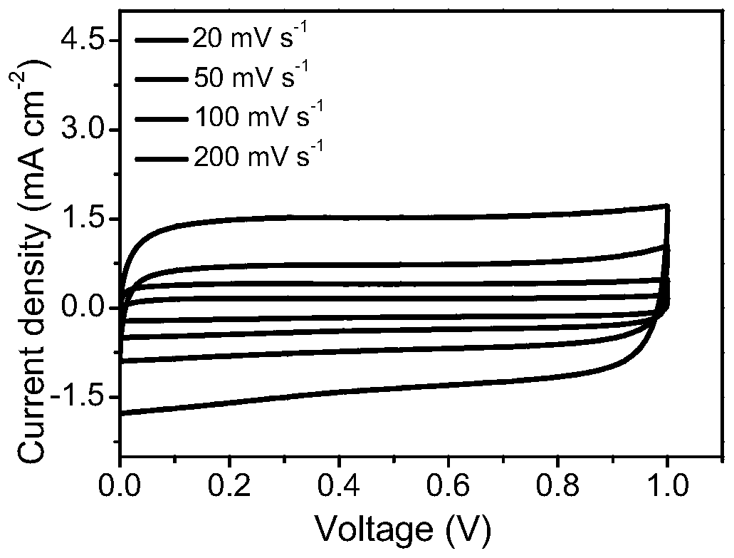 Electrochemical energy device and manufacturing method thereof