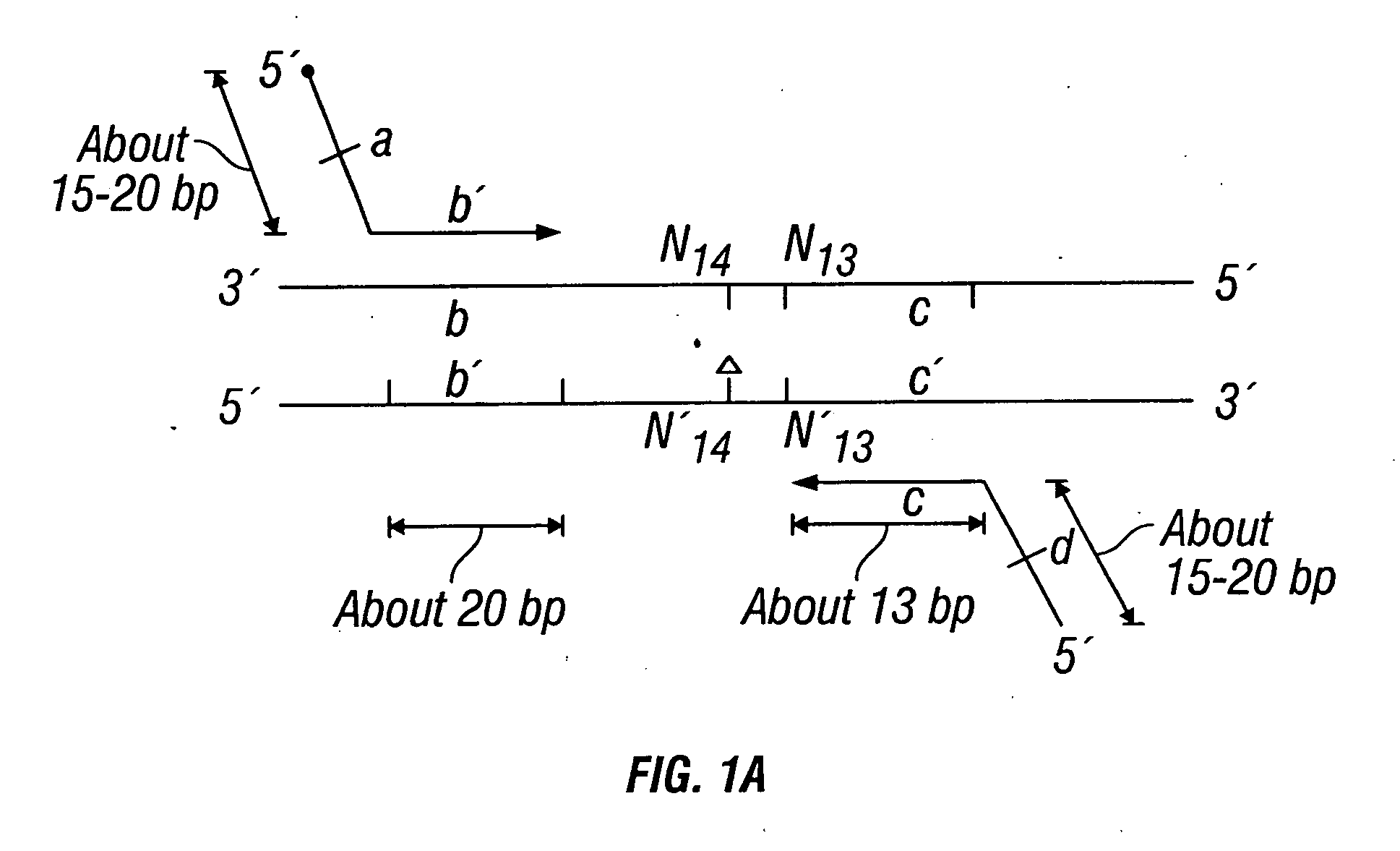 Methods for detection of genetic disorders