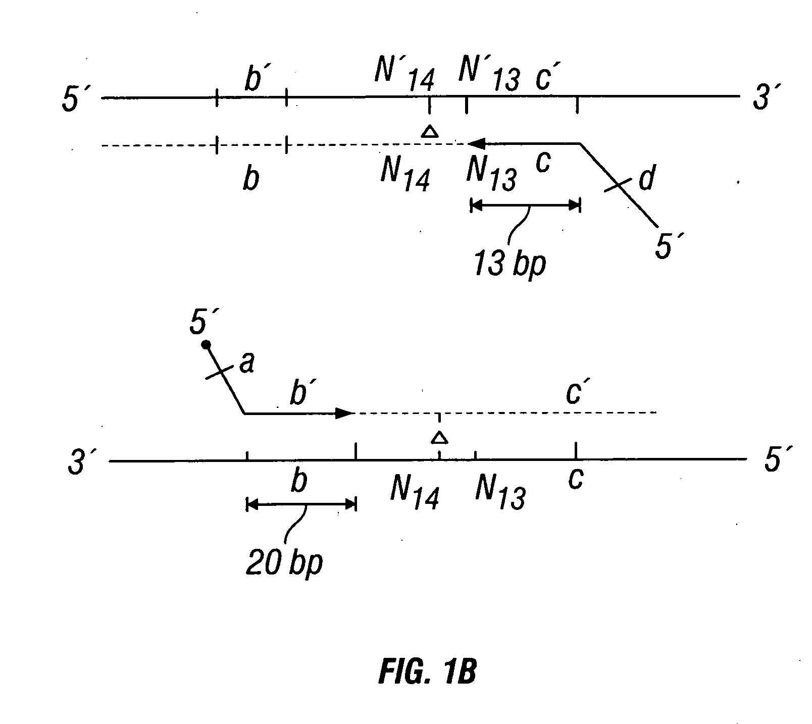 Methods for detection of genetic disorders