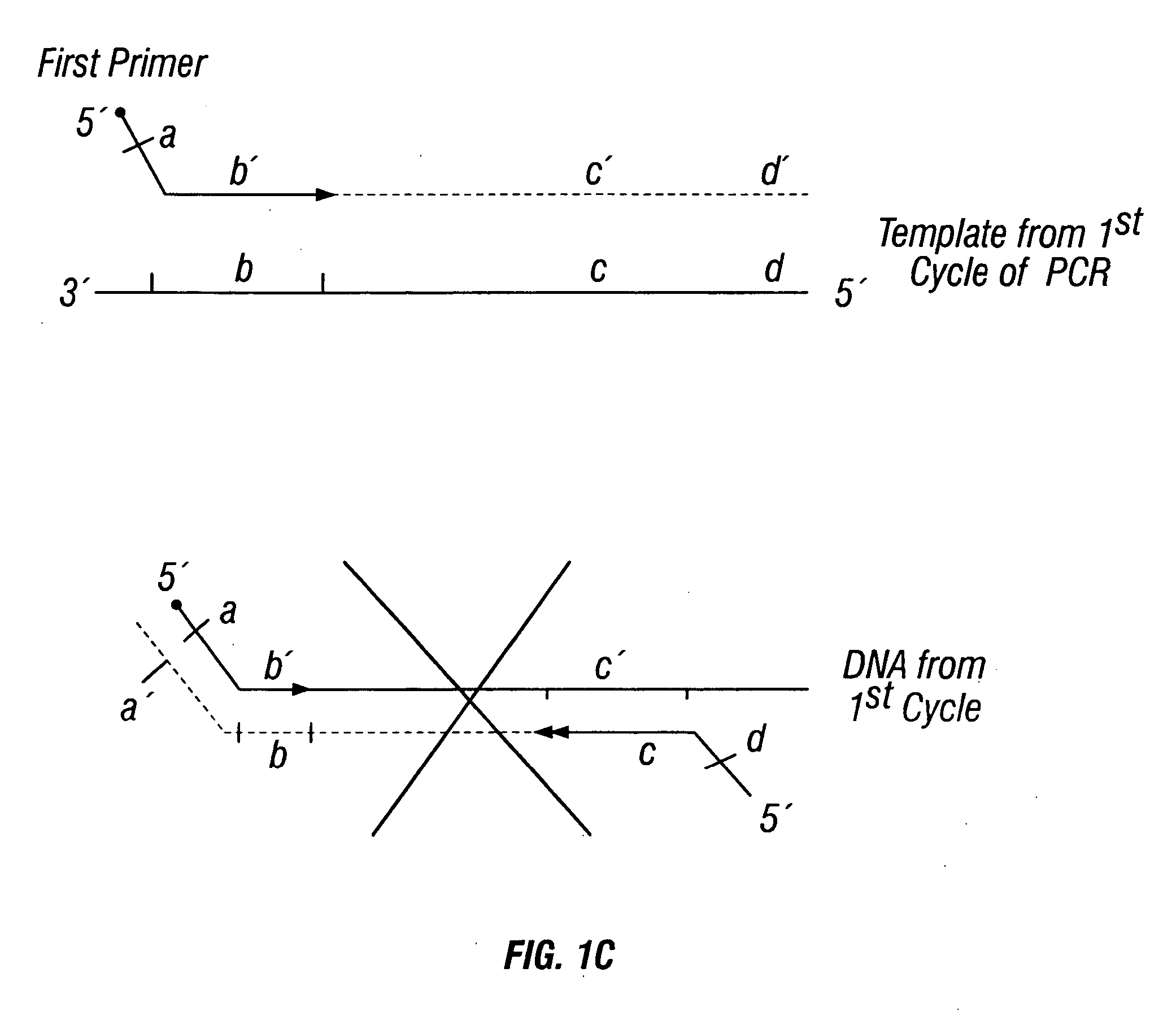 Methods for detection of genetic disorders