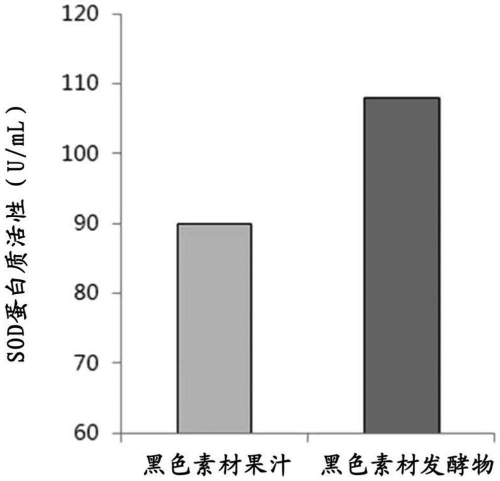 Black material ferment, preparation method thereof and use thereof for increasing antioxidant activity and protecting eyes