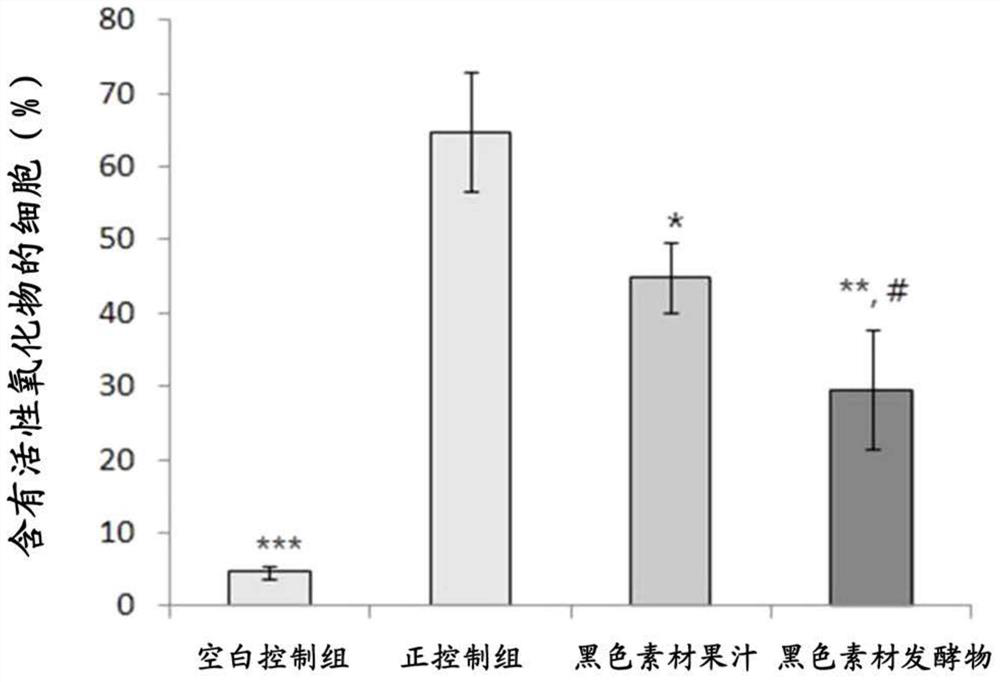 Black material ferment, preparation method thereof and use thereof for increasing antioxidant activity and protecting eyes