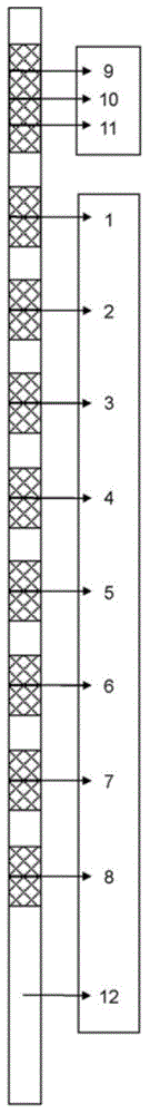 Immunoblotting kit for detecting autoimmune nephrosis and preparation method thereof