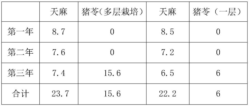 Integrated cultivation method for polyporus umbellatus and gastrodia elata