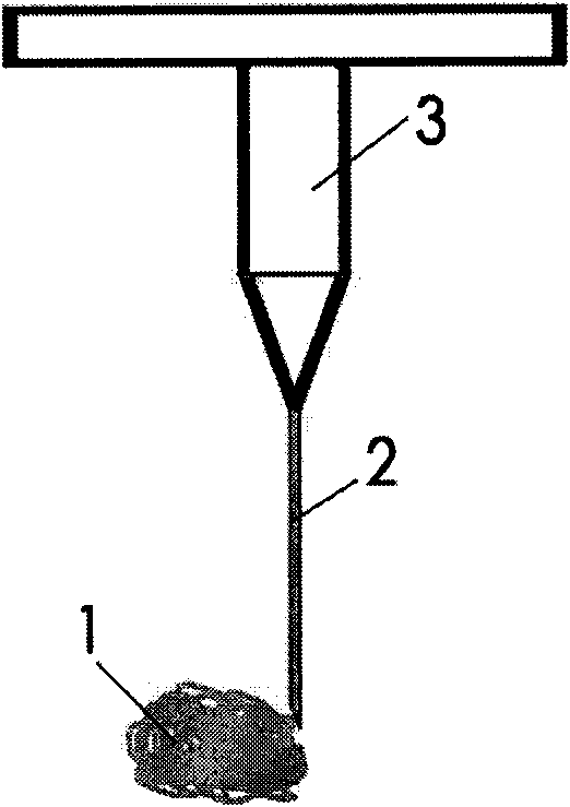 In-situ inoculating operation method for cerebral tumor tissue block animal and inoculating needle thereof