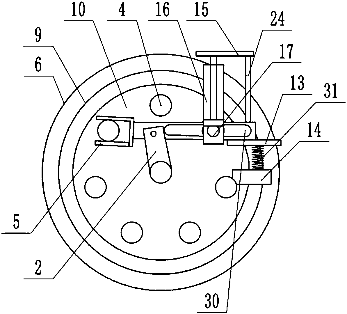 Rhizoma paridis processing equipment