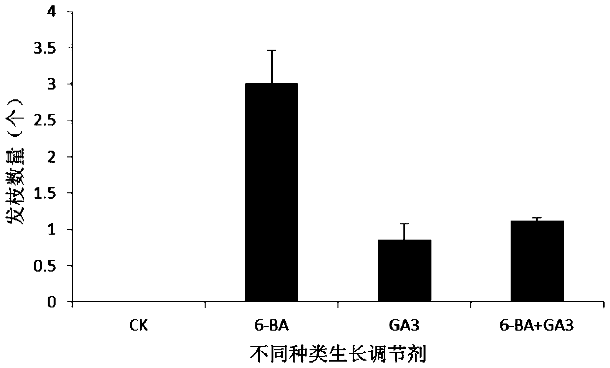 A kind of method for promoting side shoot development of oil peony seedlings