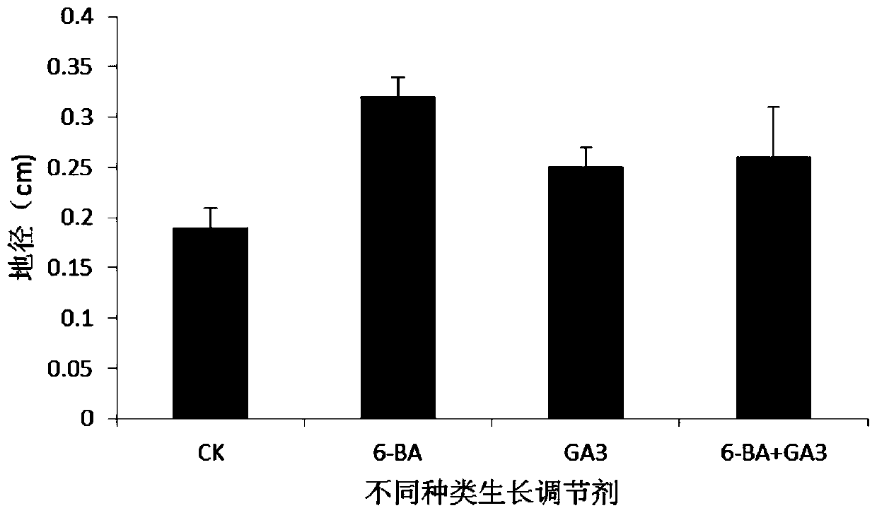 A kind of method for promoting side shoot development of oil peony seedlings