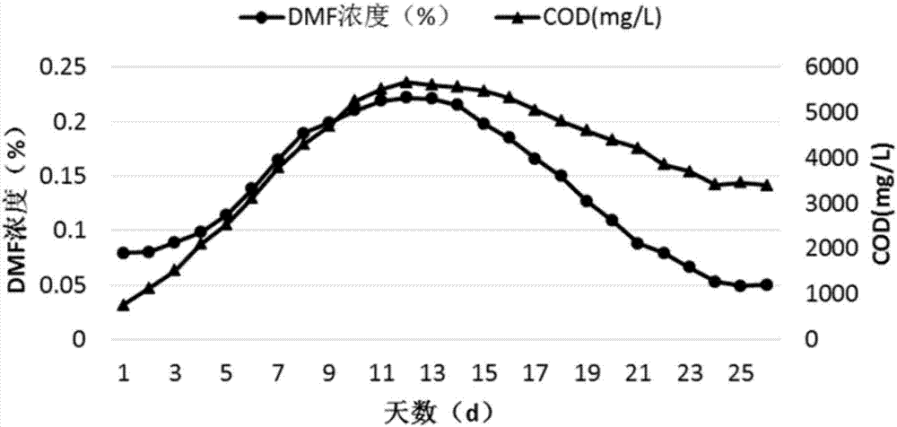 Method for degrading N,N-dimethylformamide in sucralose wastewater by using microorganisms