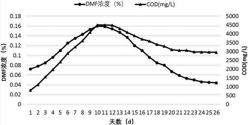 Method for degrading N,N-dimethylformamide in sucralose wastewater by using microorganisms