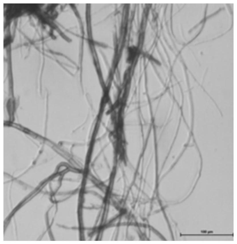 Fusarium aromatic fungus hnu066 and its application in the degradation of waste gas containing hydrogen sulfide