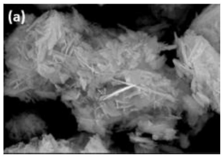 Preparation method and application of biocl/carbonized egg membrane composite visible light catalyst