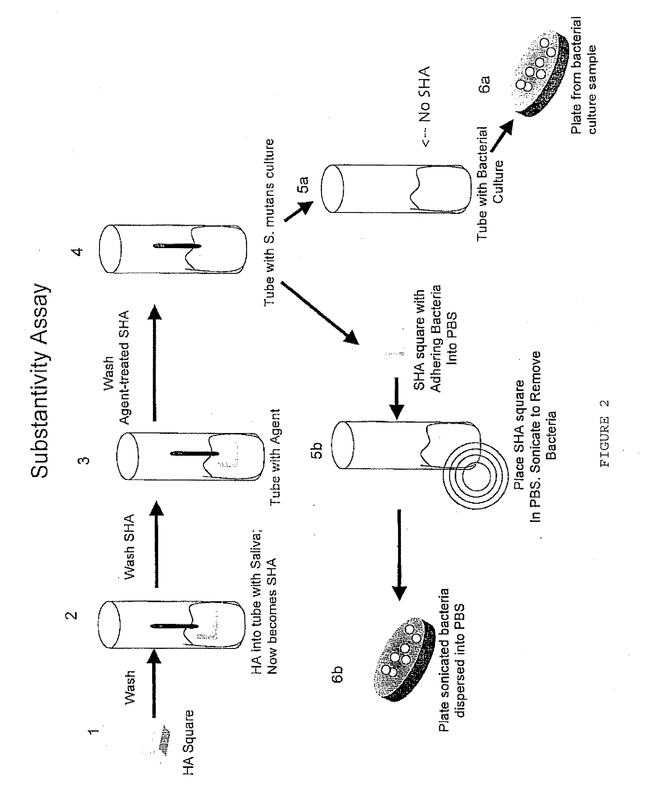 Natural Polypeptides For Oral Health Care