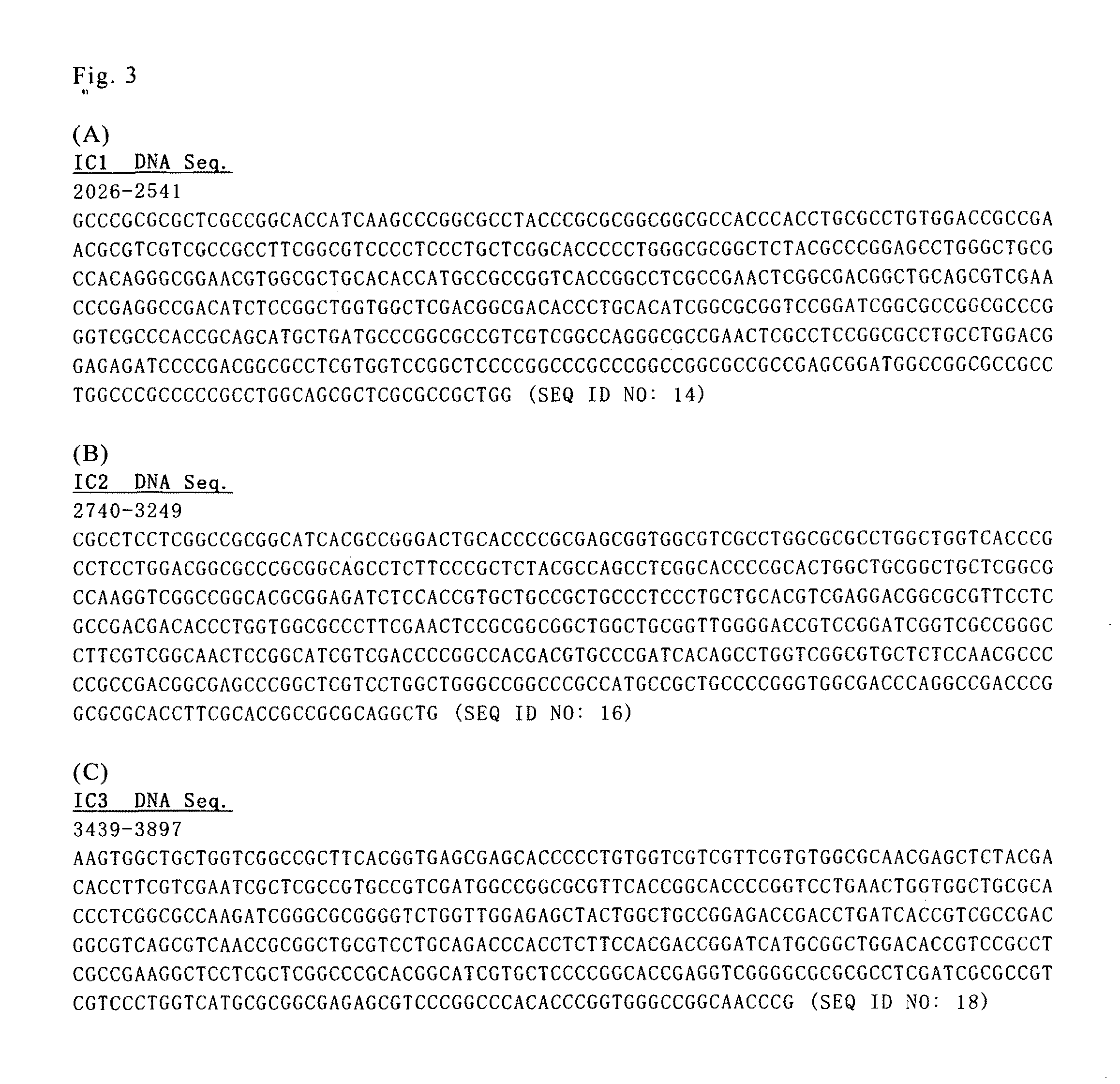 Polyamino acid synthetase and gene encoding the same