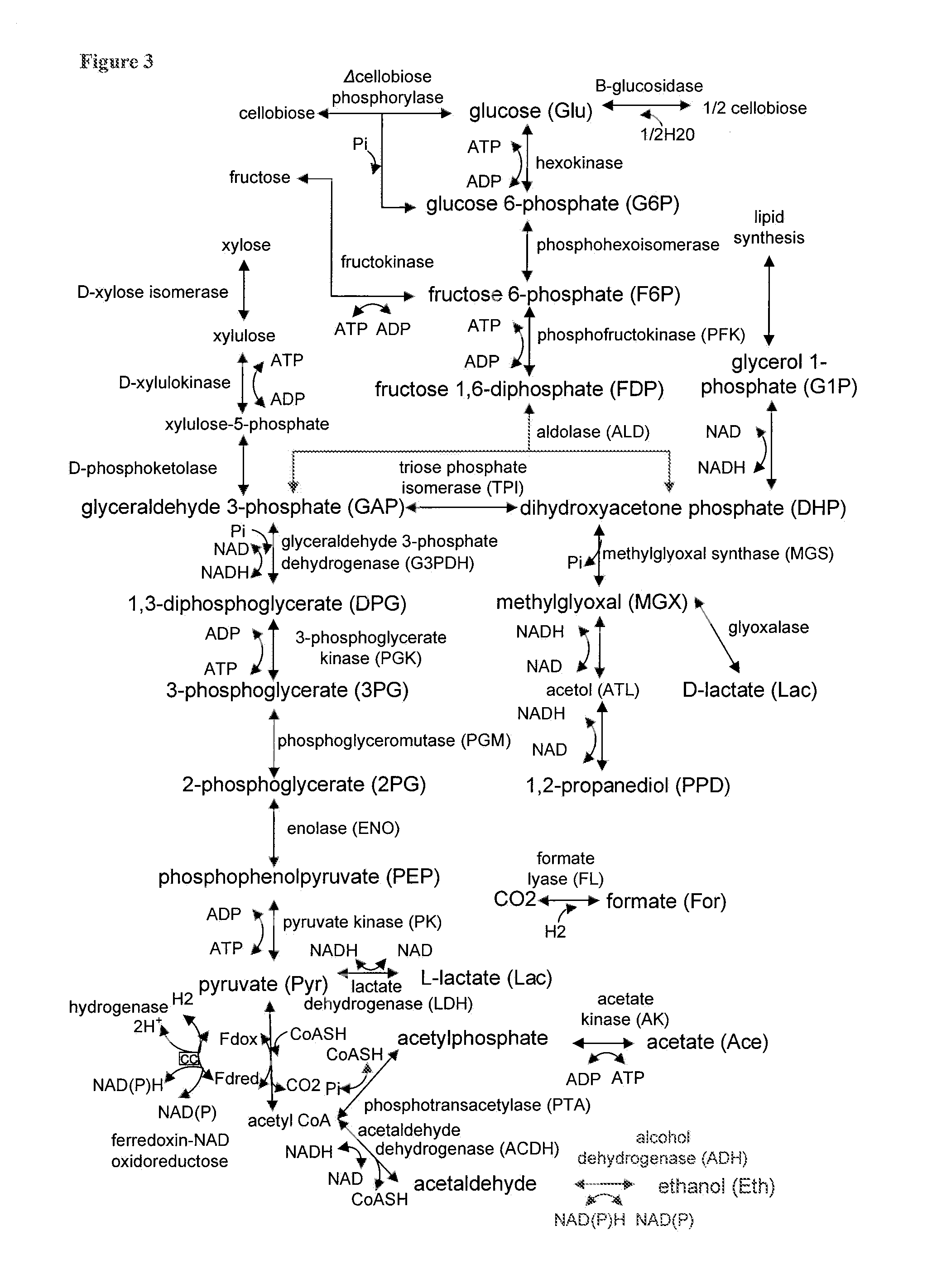 Methods for the improvement of product yield and production in a microorganism through the addition of alternate electron acceptors