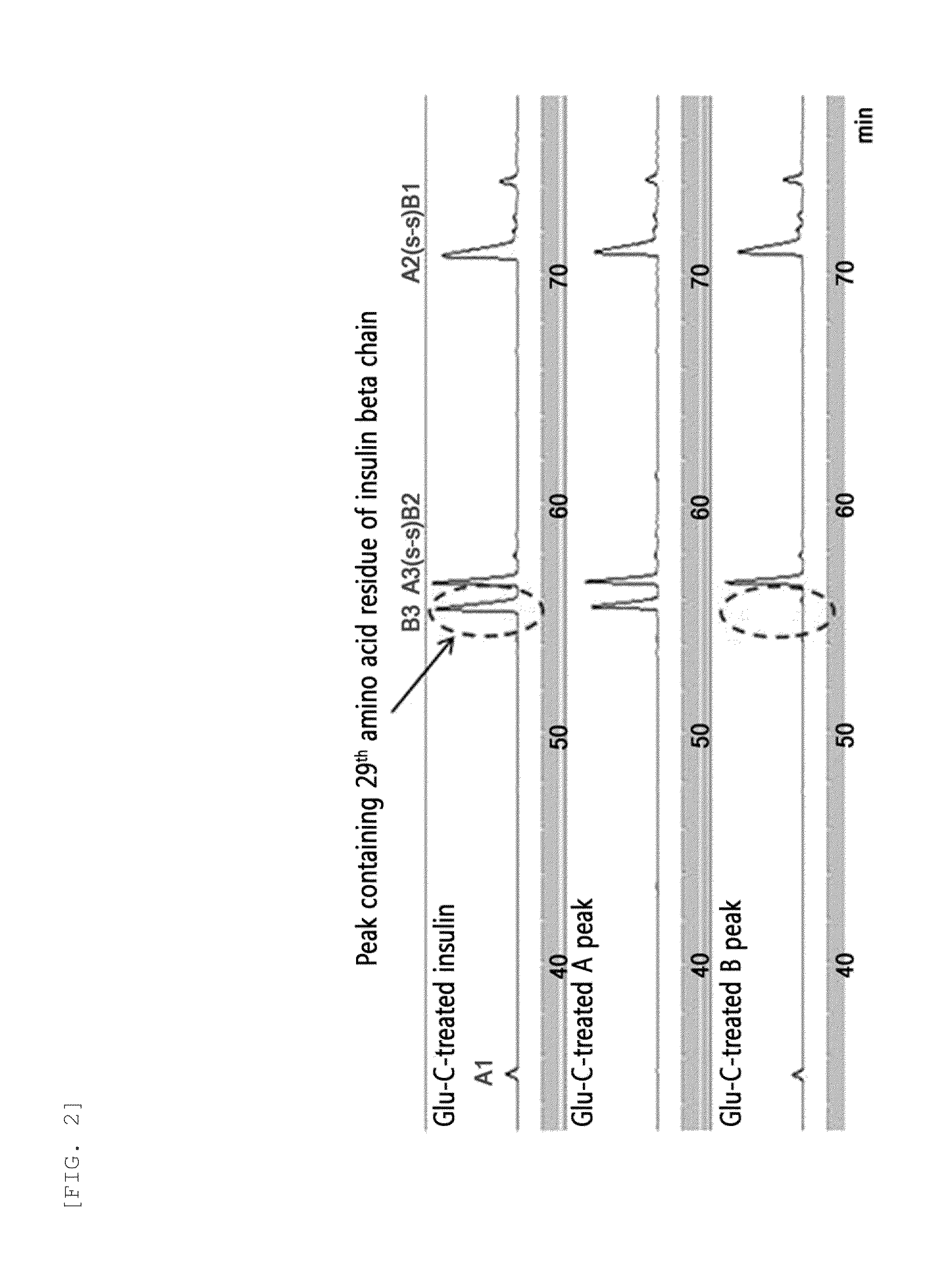 Site-specific insulin conjugate