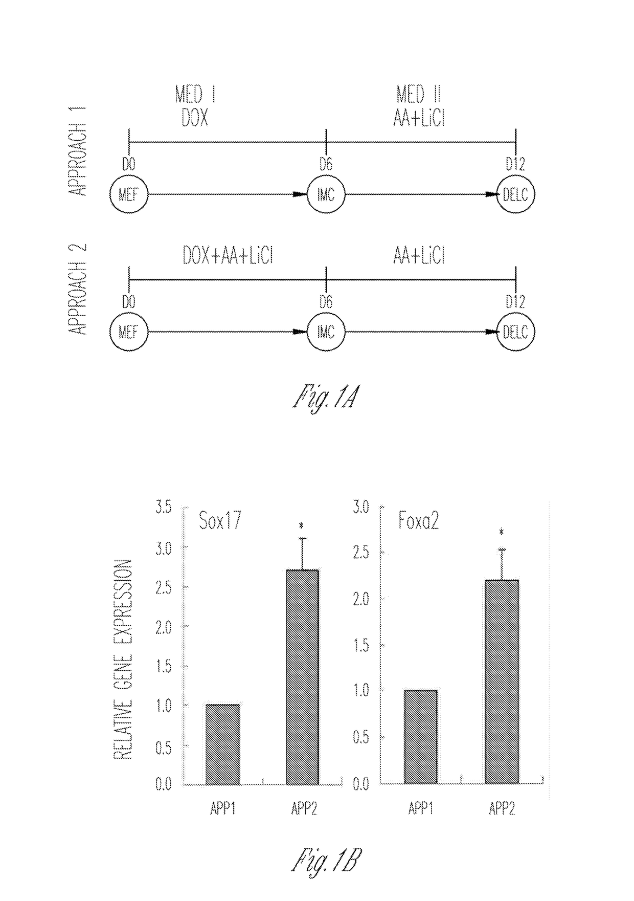 Methods and Compositions for Producing Pancreatic Beta Cells