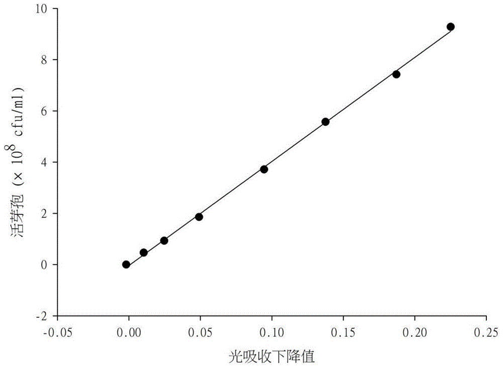 Living spore content high throughput detection method based on spectrophotometry method