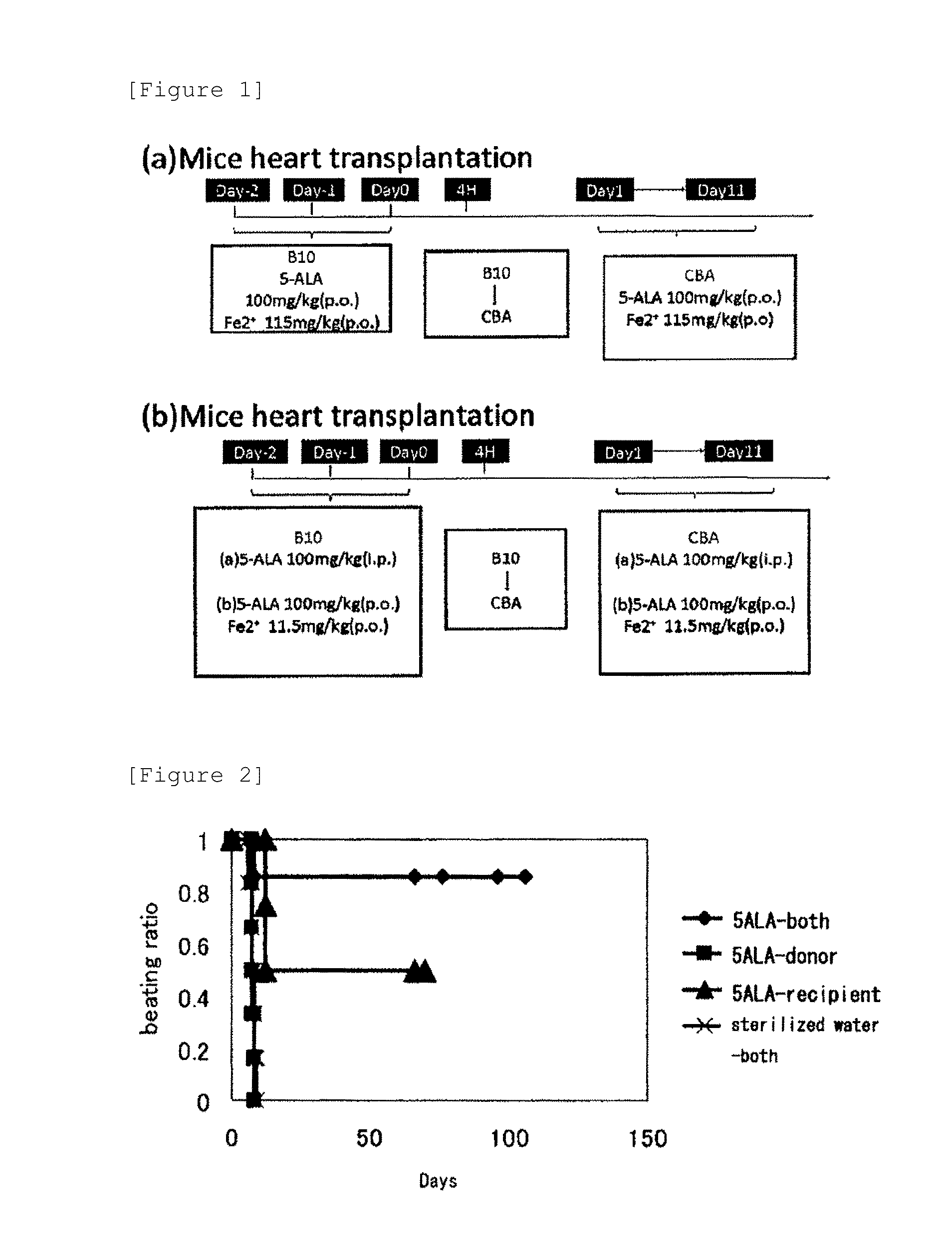 Enhancer of survival of transplanted organ