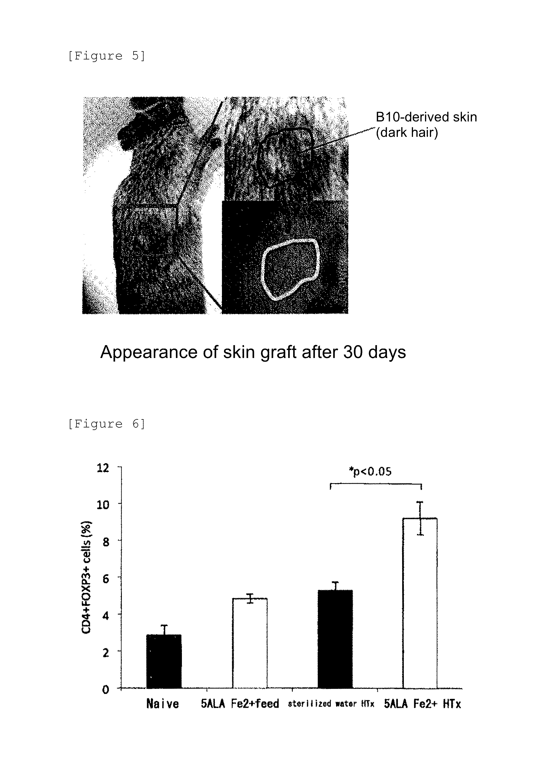 Enhancer of survival of transplanted organ