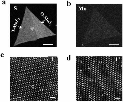 Preparation method for transition-metal sulfide nanosheet sulfur vacancy