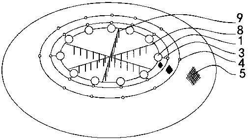 In-situ fertilized egg proliferation and releasing method suitable for sepiella maindroni