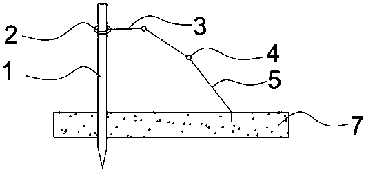 In-situ fertilized egg proliferation and releasing method suitable for sepiella maindroni