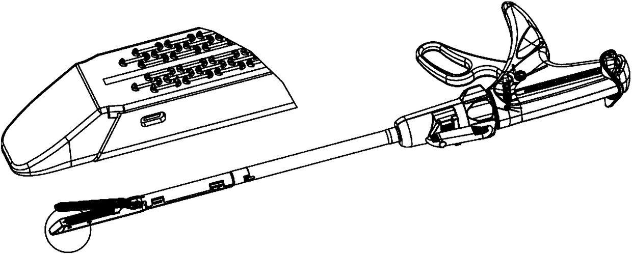 Stapling device provided with staple cartridge capable of guiding molded staples