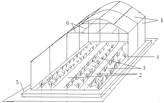 Breeding method and device for young tussah