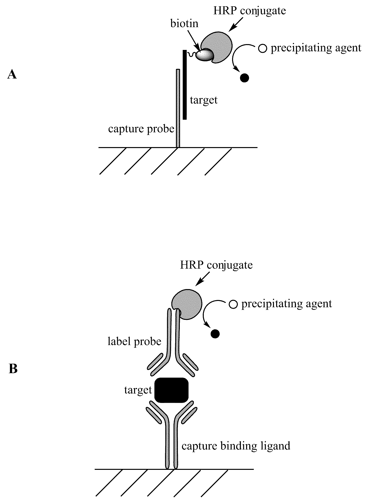 Biomarkers for Appetite Regulation