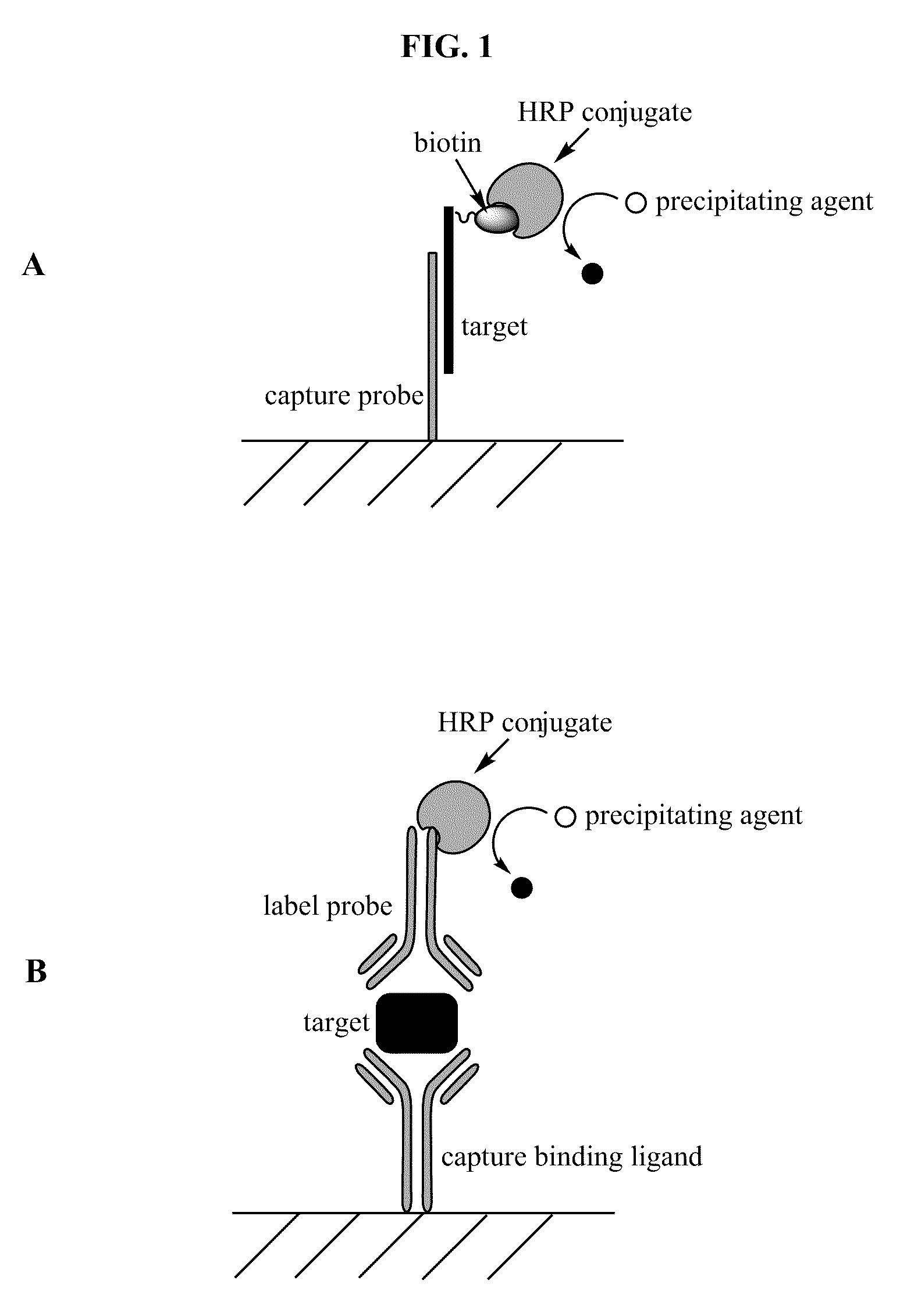 Biomarkers for Appetite Regulation