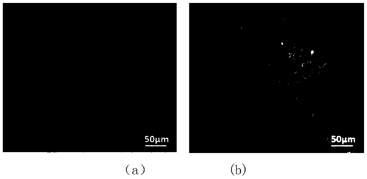 Preparation method of magnetic response dynamic coating