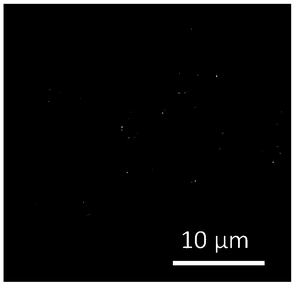 Adsorbing material based on cross-linked protein, and applications of adsorbing material in recovery of precious metals