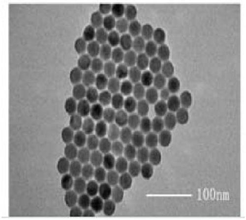 NaErF4@NaYF4-folic acid stokes shifts probe and preparation method thereof