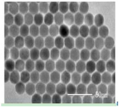 NaErF4@NaYF4-folic acid stokes shifts probe and preparation method thereof