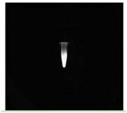 NaErF4@NaYF4-folic acid stokes shifts probe and preparation method thereof