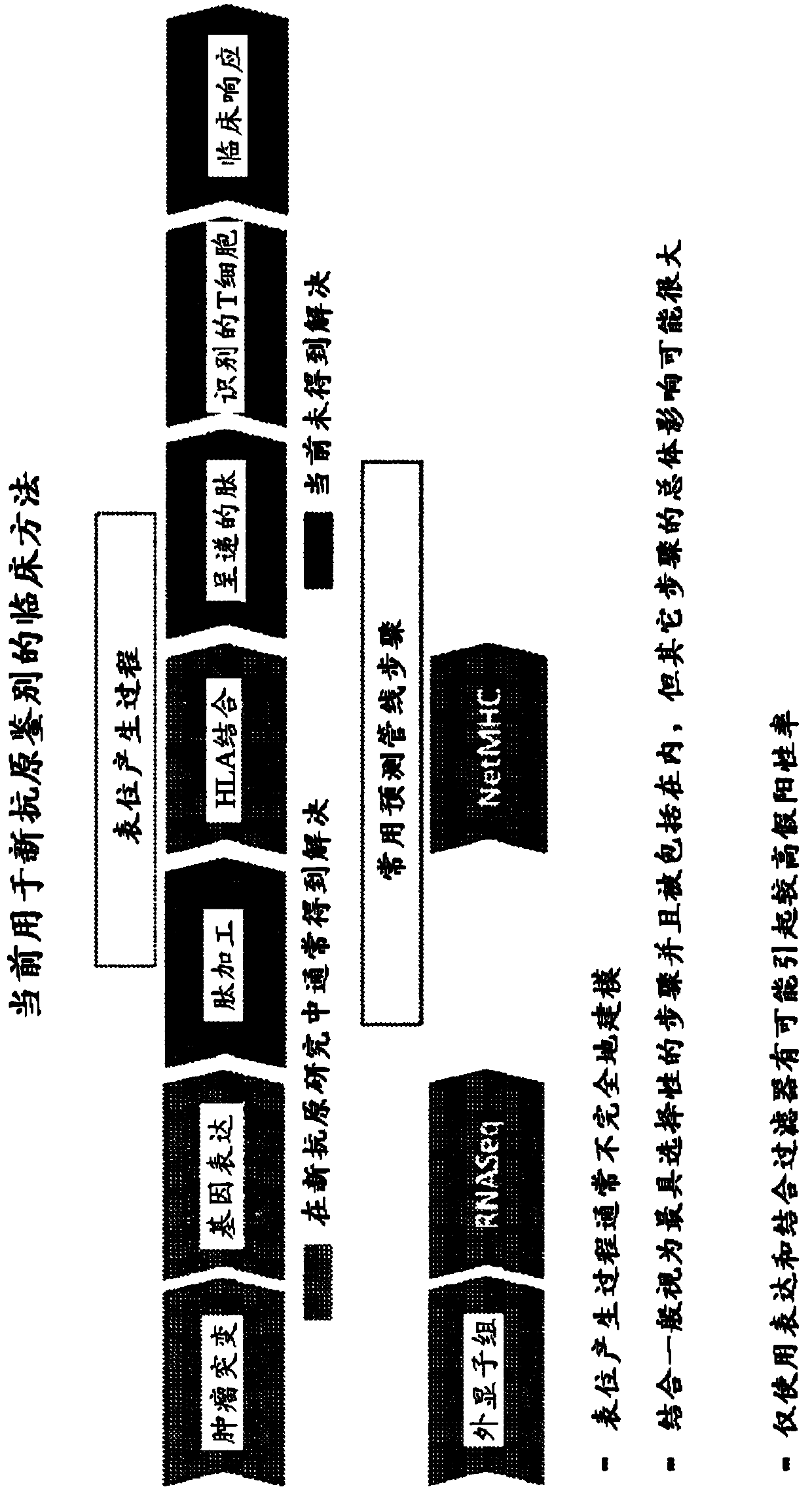 Neoantigen identification, manufacture, and use