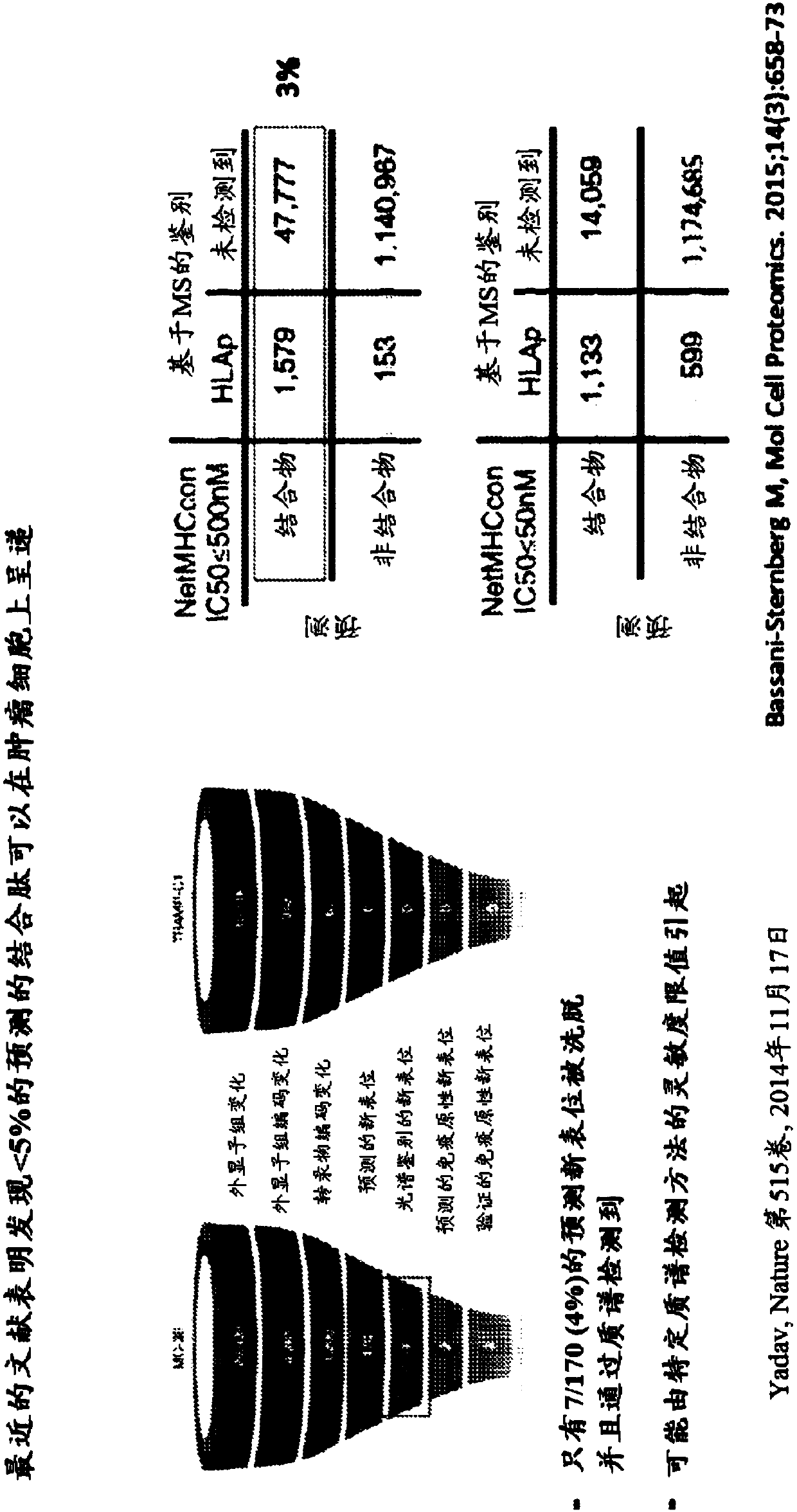 Neoantigen identification, manufacture, and use